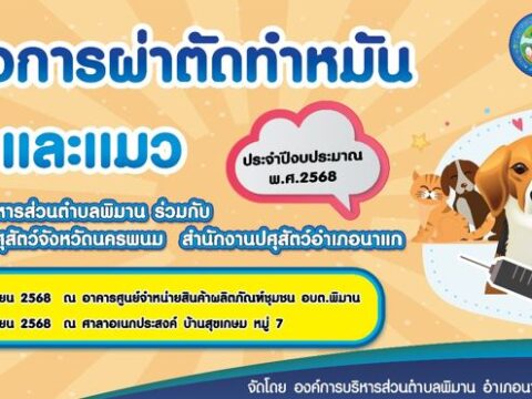 องค์การบริหารส่วนตำบลพิมาน นำโดยนายบัญชา ศรีชาหลวง นายกองค์การบริหารส่วนตำบลพิมาน ร่วมกับ ปศุสัตว์จังหวัดนครพนม ปศุสัตว์อำเภอนาแก จัดทำโครงการผ่าตัดทำหมันสุนัขและแมว ประจำปีงบประมาณ พ.ศ.2568 ระหว่างวันที่ 29- 30 เมษายน 2568 ตำบลพิมาน ซึ่งได้ดำเนินการผ่าตัดทำหมัน สุนัขจำนวน 49 ตัว และ แมว จำนวน 35 ตัว รวมเป็น 84 ตัว